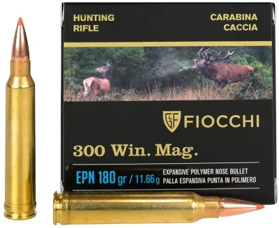 Patron .300WM Fiocchi EPN 11,66g (180gr)